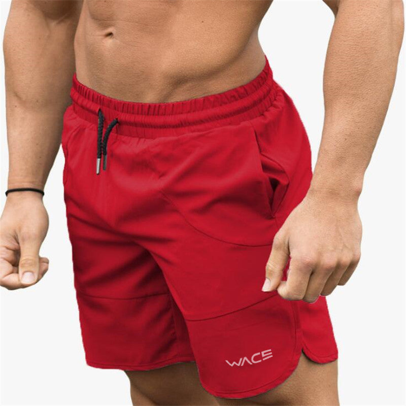 Quick-Dry Performance Shorts